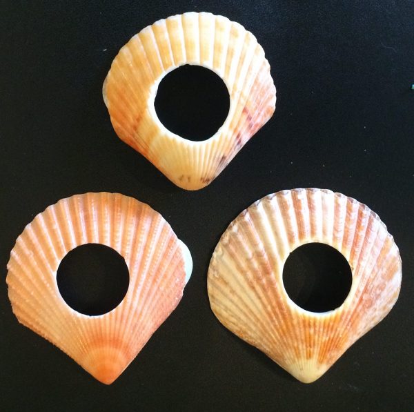 Shawl Pin Pectin Shell