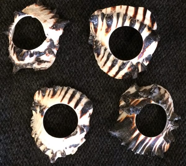 Shawl Pin Horned Shells - Image 2