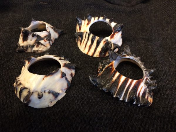 Shawl Pin Horned Shells - Image 3