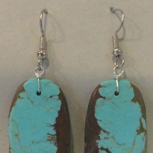 Photo of Turquoise Earrings