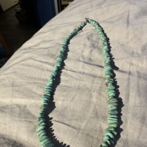 Necklace Kingman Turquoise Single Strand