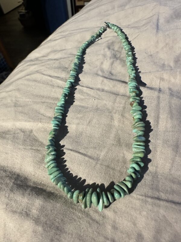 Necklace Kingman Turquoise Single Strand