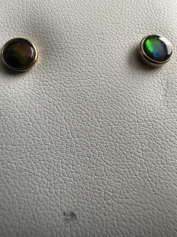 Earrings Ammolite 5mm Studs