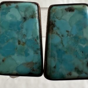 Earrings Kingman Turquoise Studs