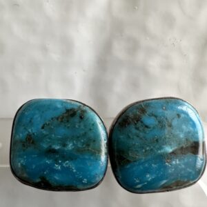 Earrings Lander Blue Turquoise Studs