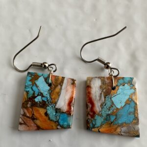 Earrings Turquoise, Spiney Oyster, Bronze Matrix
